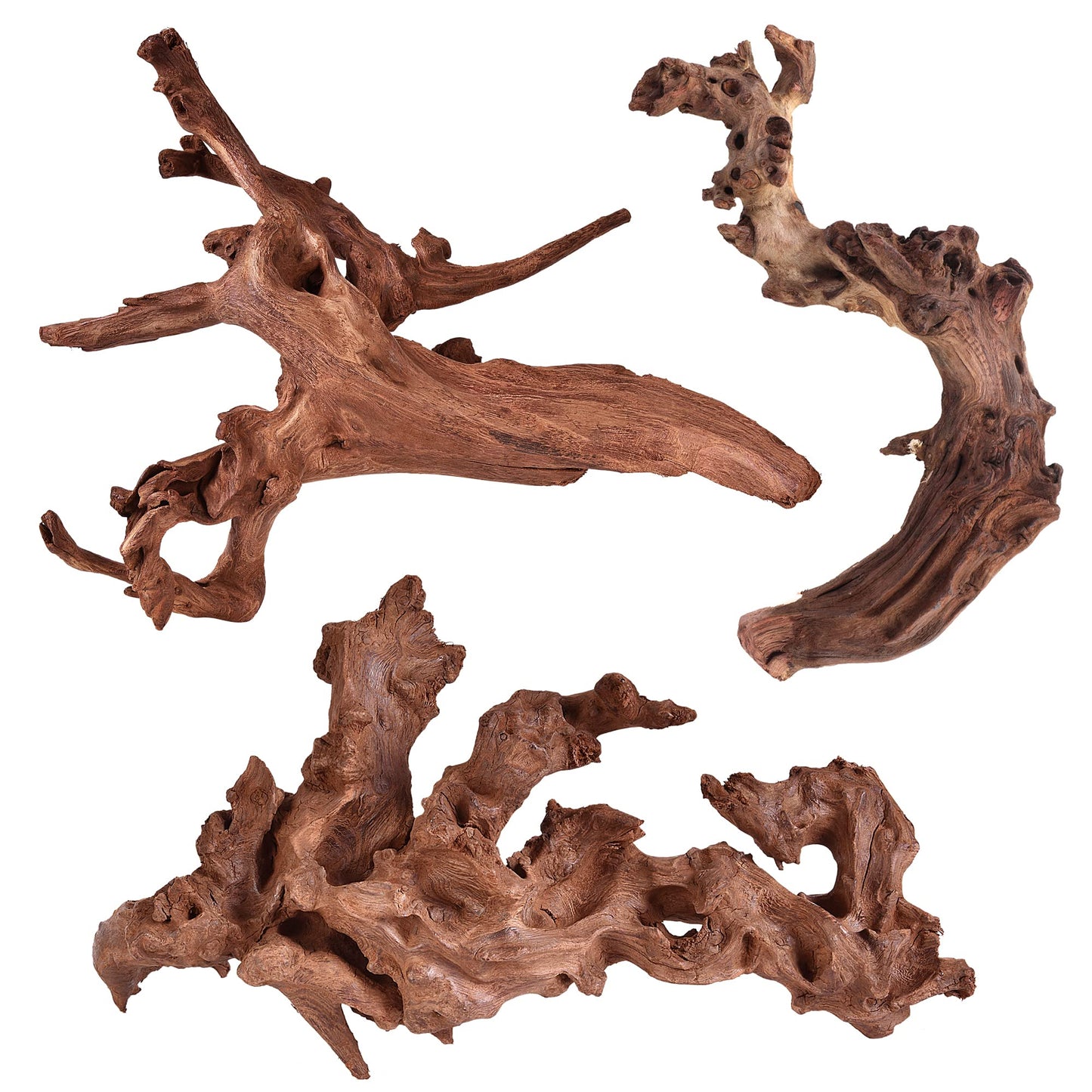 AquaTee's Driftwood For Aquarium