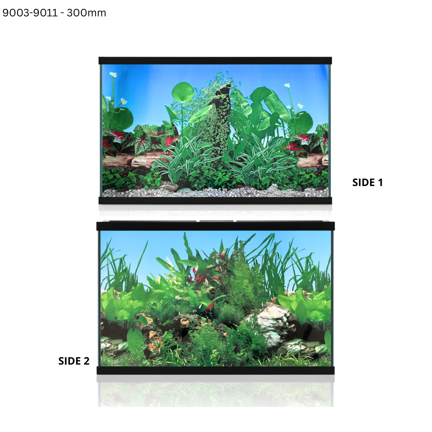 Aquatees Aquarium Background Posters - PLANT Series