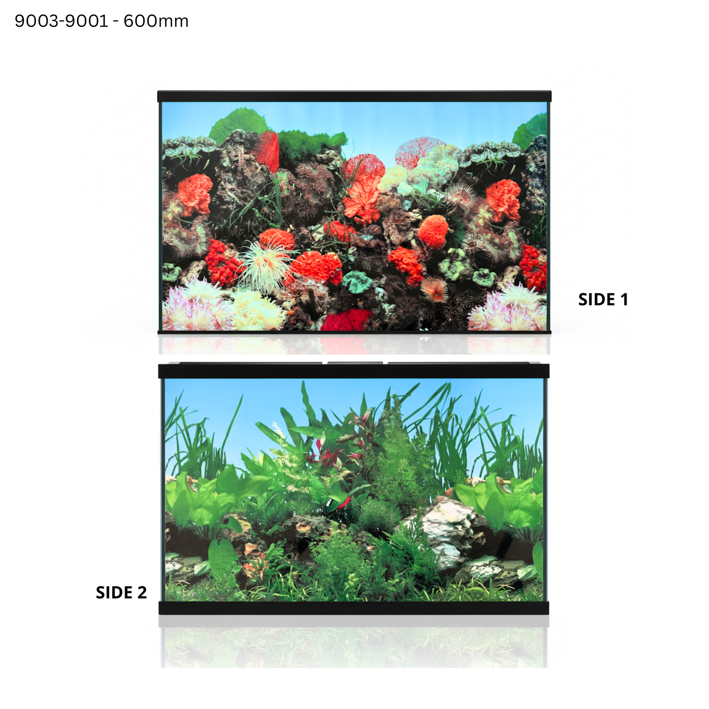 Aquatees Aquarium Background Posters - PLANT & REEF Series