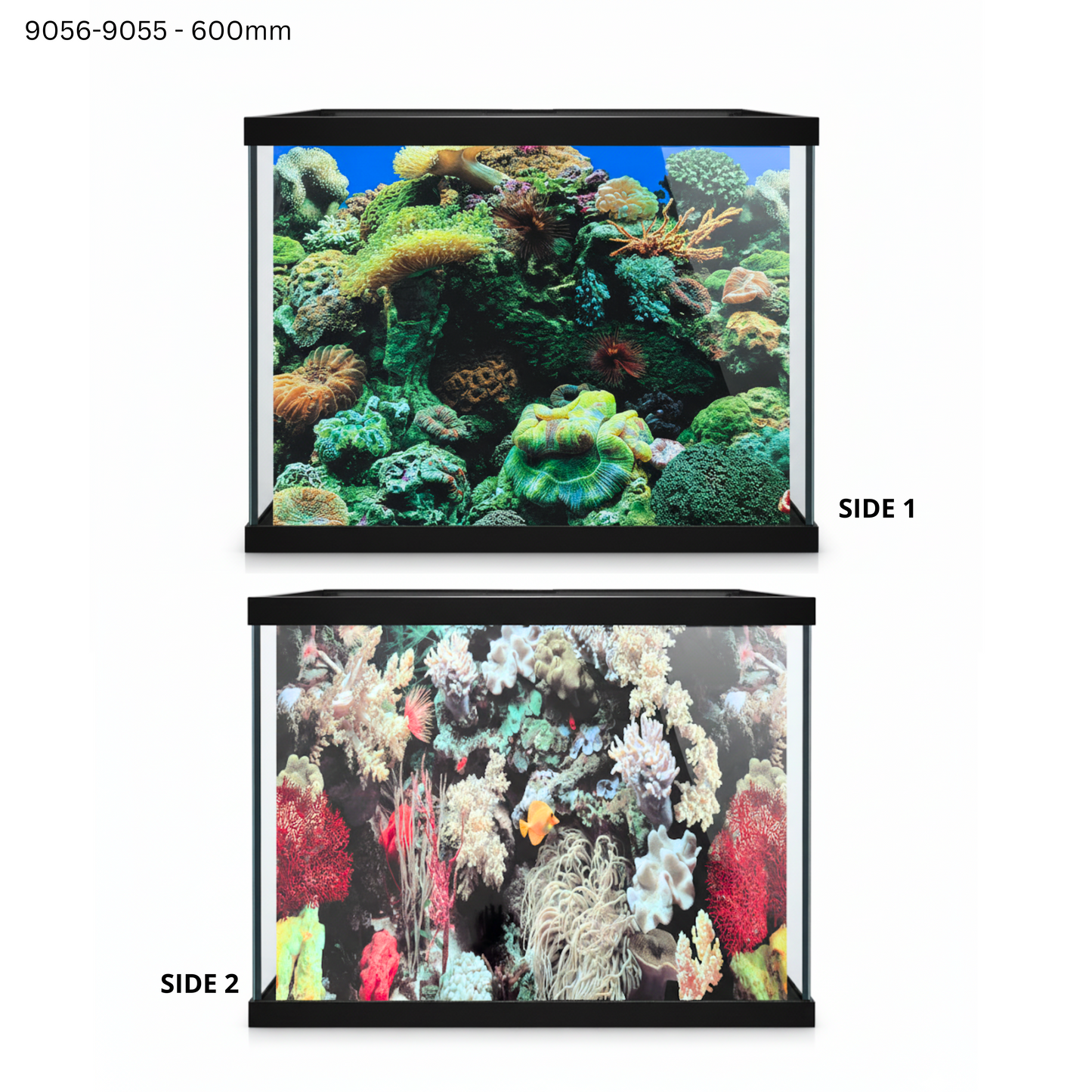 Aquatees Aquarium Background Posters - PLANT & REEF Series