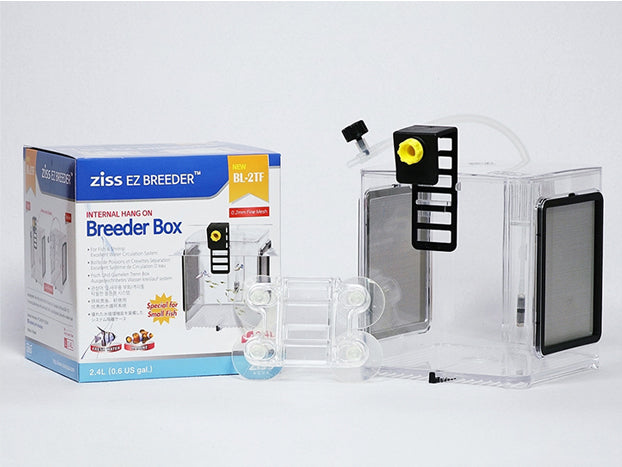 Ziss Aqua - EZ breeders