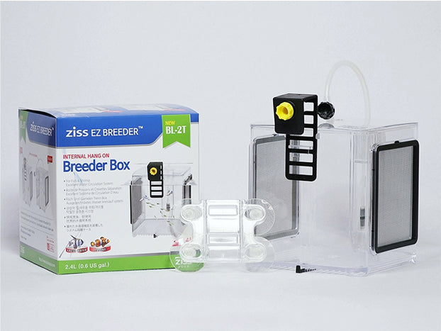 Ziss Aqua - EZ breeders