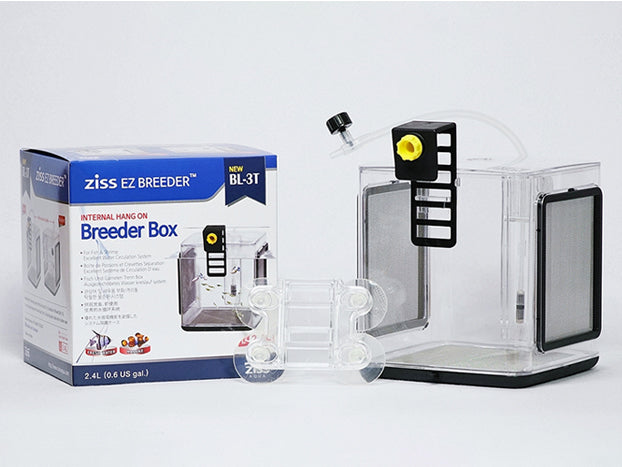 Ziss Aqua - EZ breeders