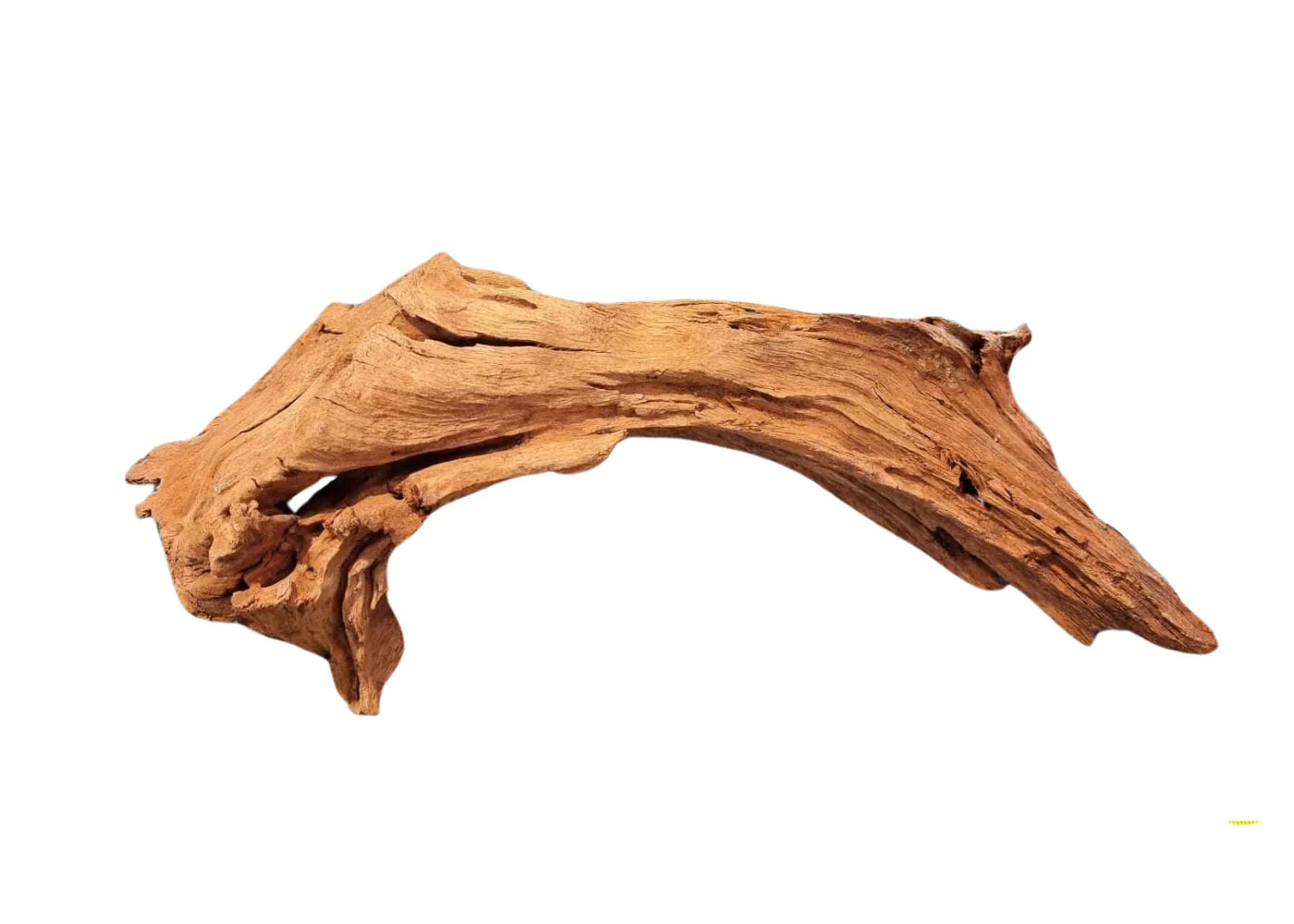 AquaTee's Driftwood For Aquarium