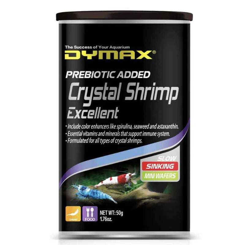 Dymax Crystal Shrimp