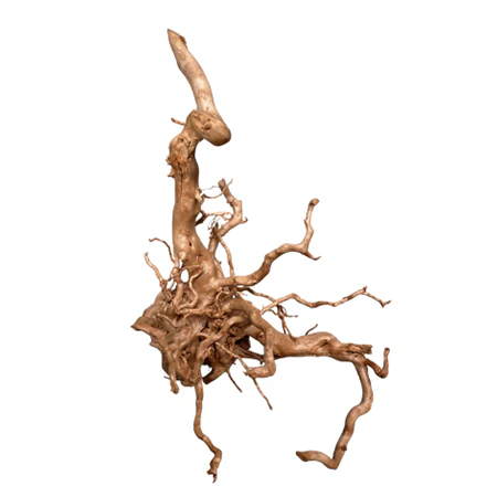 AquaTee's Tweetywood For Aquarium