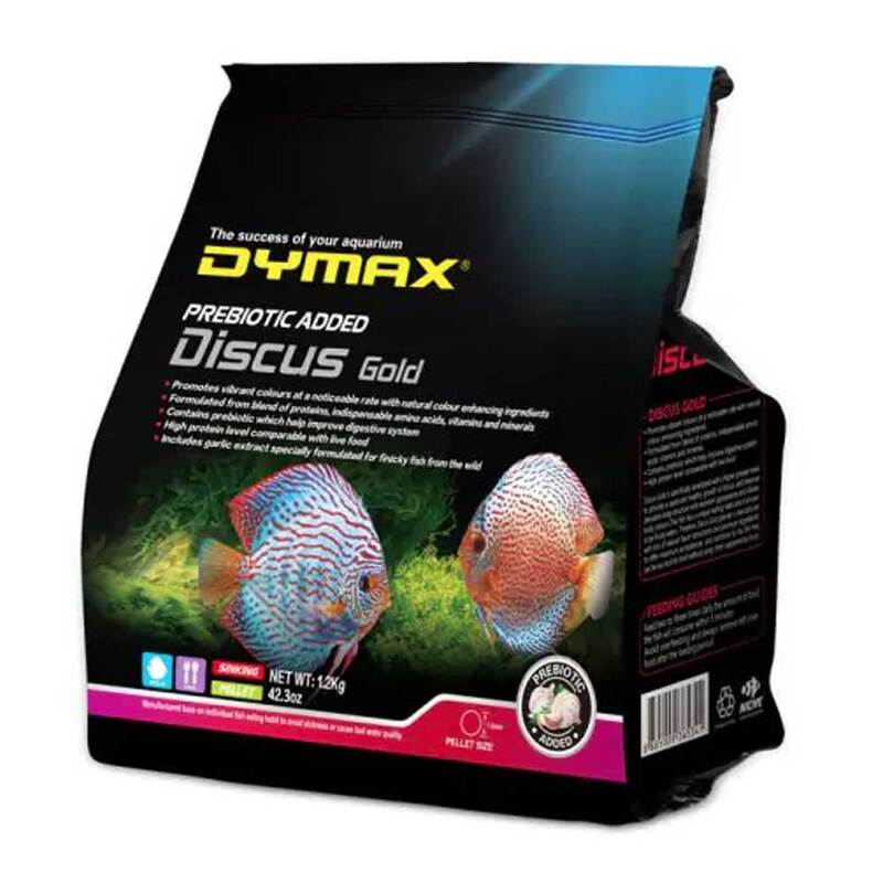 Dymax Discus Gold