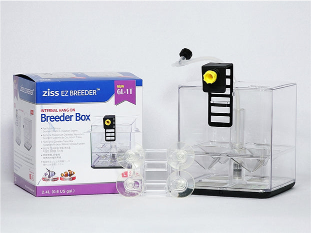 Ziss Aqua - EZ breeders