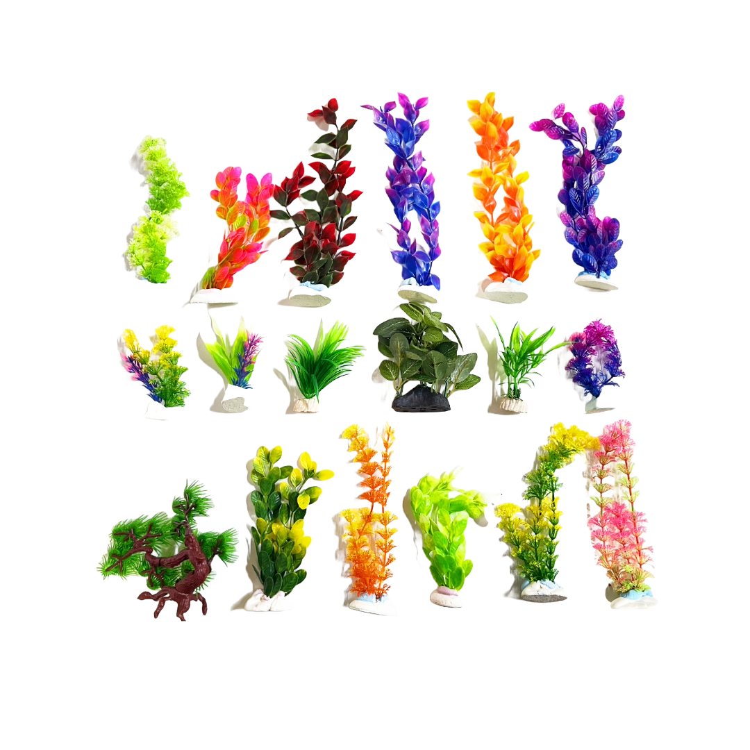 Aquatees Aquarium Plant Packs