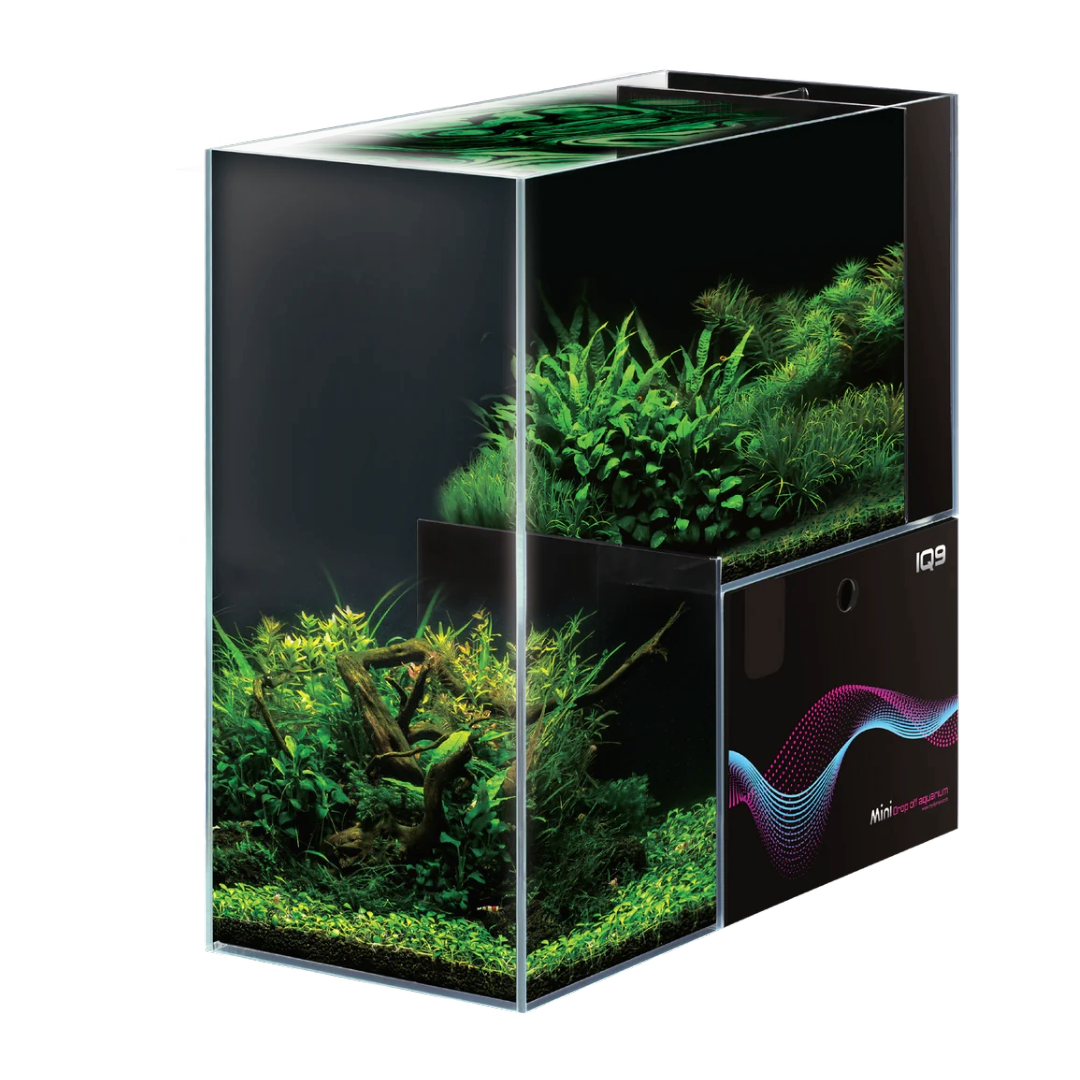 Dymax IQ9 Acrylic Aquariums