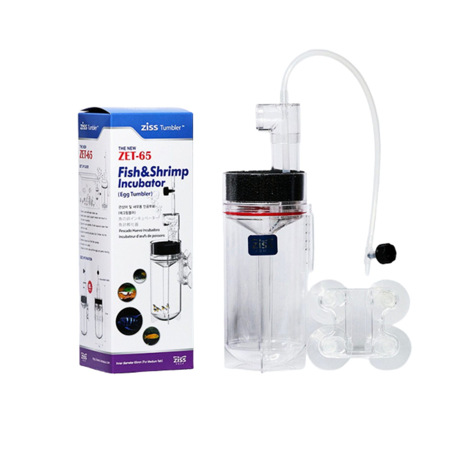 Ziss Aqua - Egg Tumbler - Zet 65