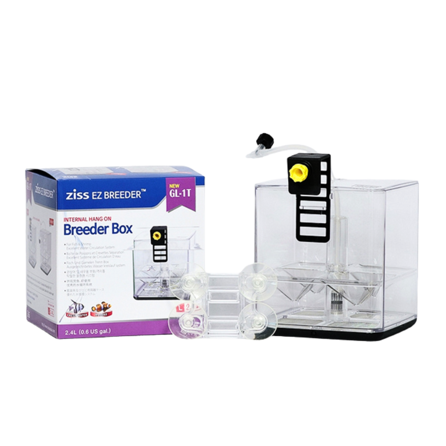 Ziss Aqua - EZ breeders