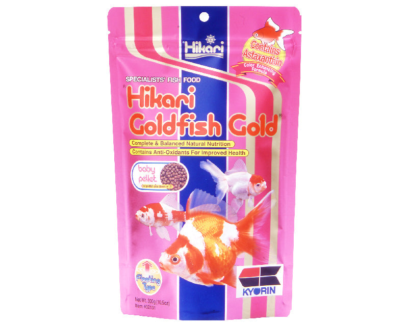 Hikari Goldfish Gold Baby