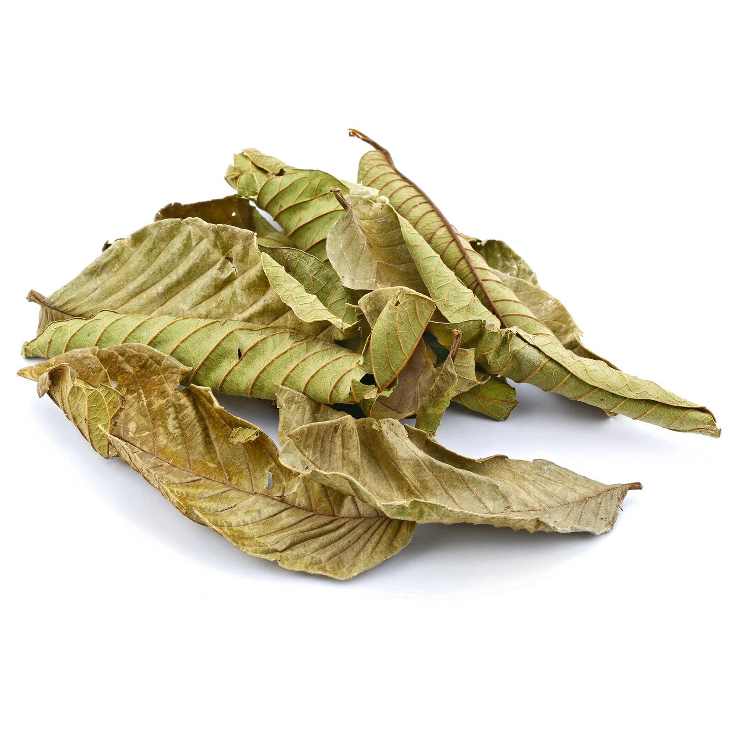 Aquatees Natural Guava Leaves