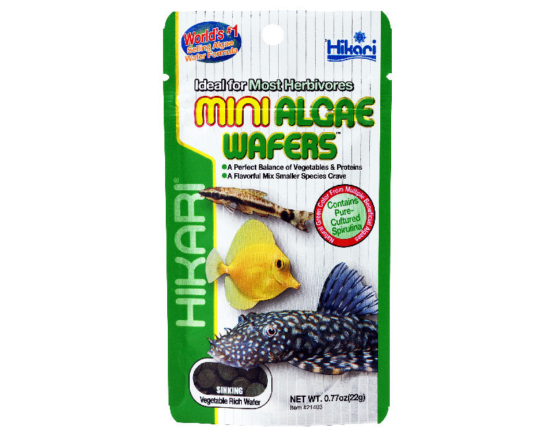 Hikari Mini Algae Wafers