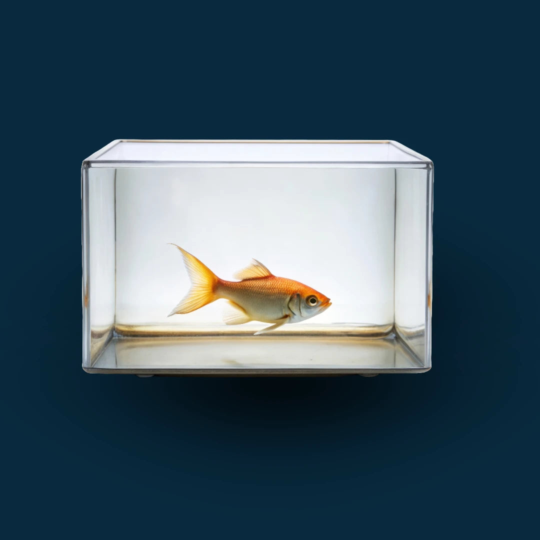 FISH TANKS