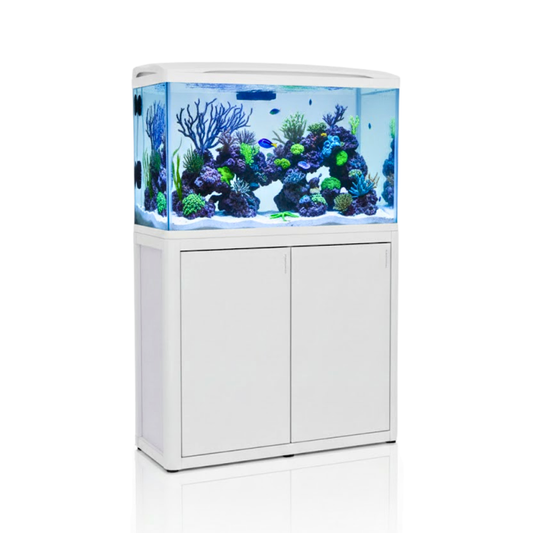 Aquatees RIVO Tanks | Premium Aquarium & Cabinet Set