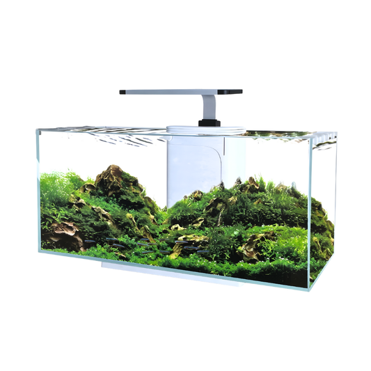 Boyu YIYA Mek | Modern Tabletop Aquariums