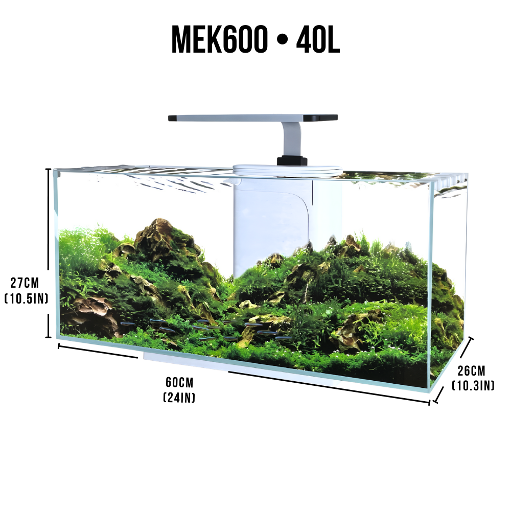 Boyu YIYA Mek | Modern Tabletop Aquariums