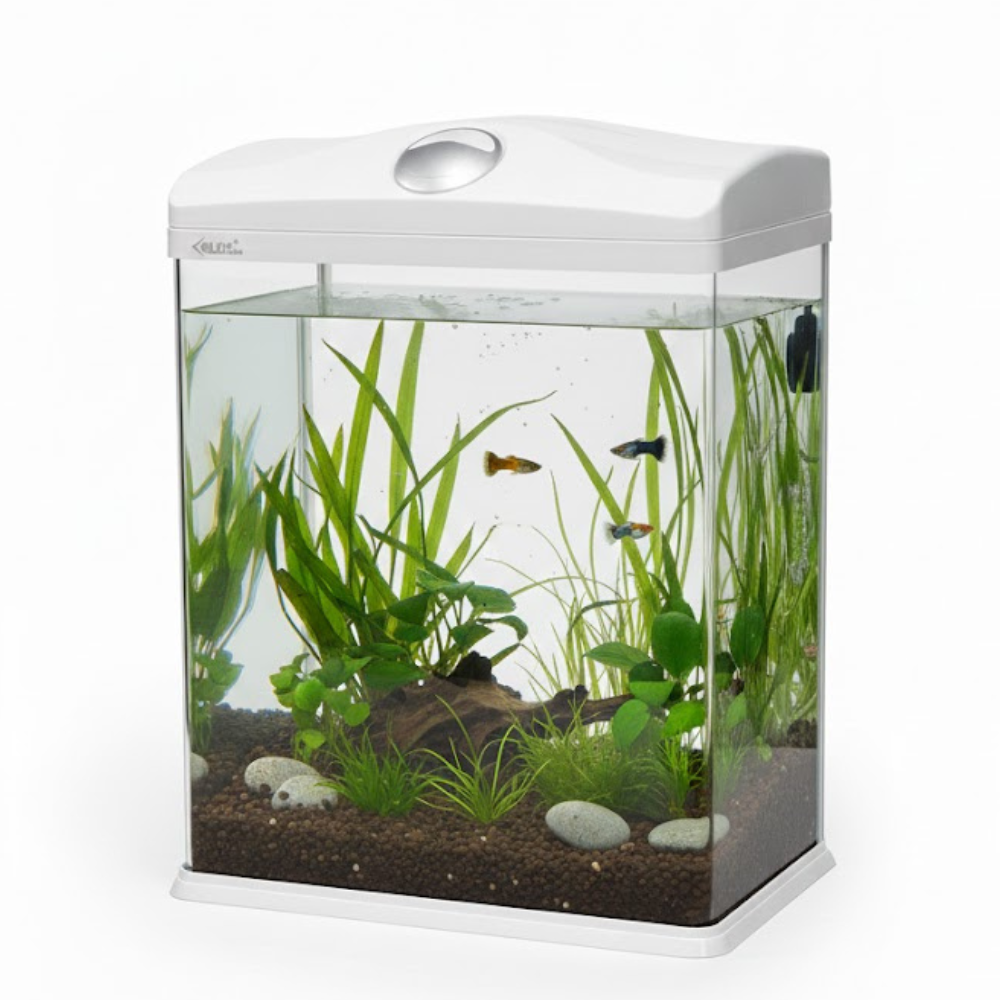 XILONG 110L Acrylic Aquarium | Complete Fish Tank Setup