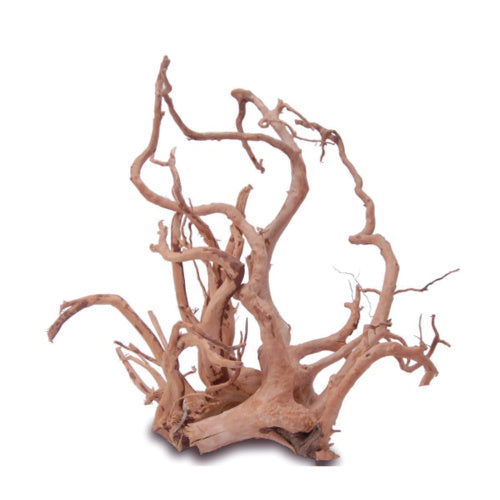AquaTee's Tweetywood For Aquarium