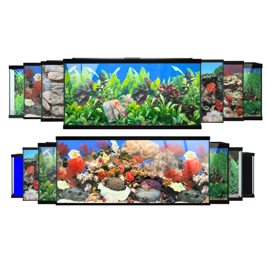 Aquatees Aquarium Background Posters - PLANT & REEF Series