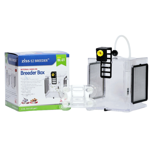 Ziss Aqua - EZ breeders