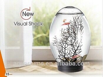 Aquarex V6 Small Desktop Aquarium