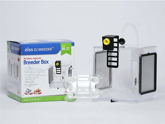 Ziss Aqua - EZ breeders