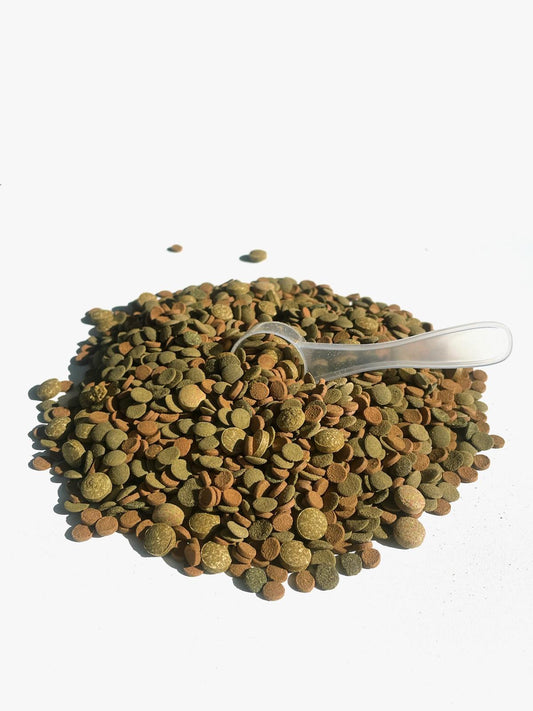 Aquatees Mini Algae Wafers Deluxe Spirulina Enhanced FIsh Food