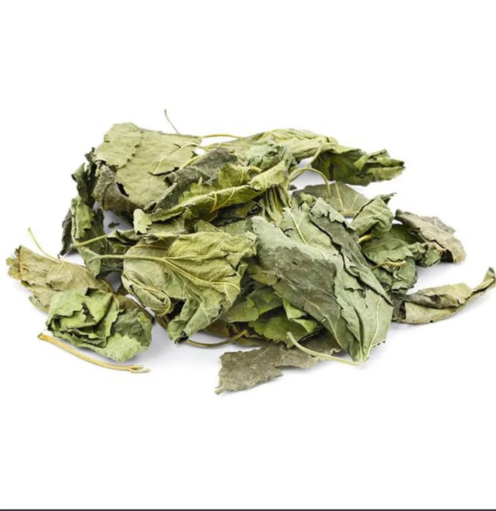 Aquatees Dried Mulberry Leaves