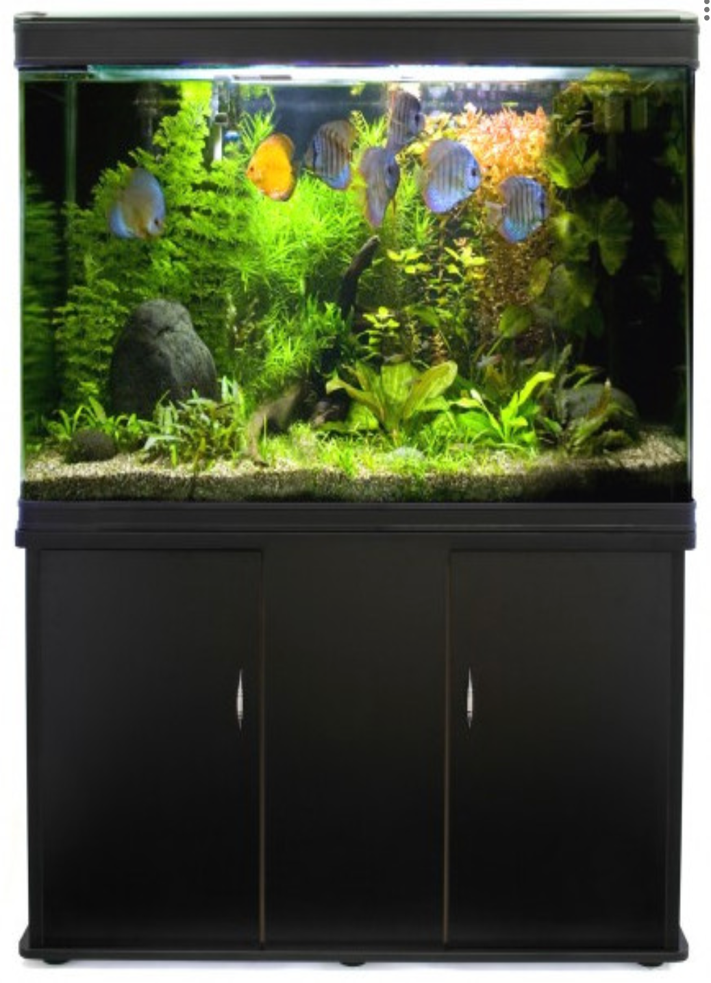 Aquatees D1000 | 100cm Luxury Aquarium & Integrated Storage Cabinet