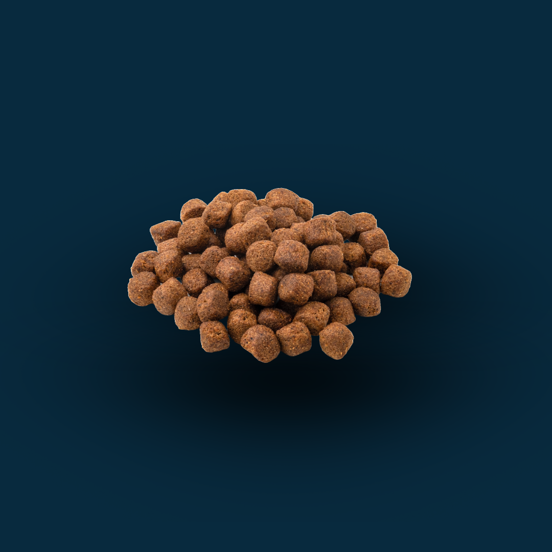 FISH FOOD