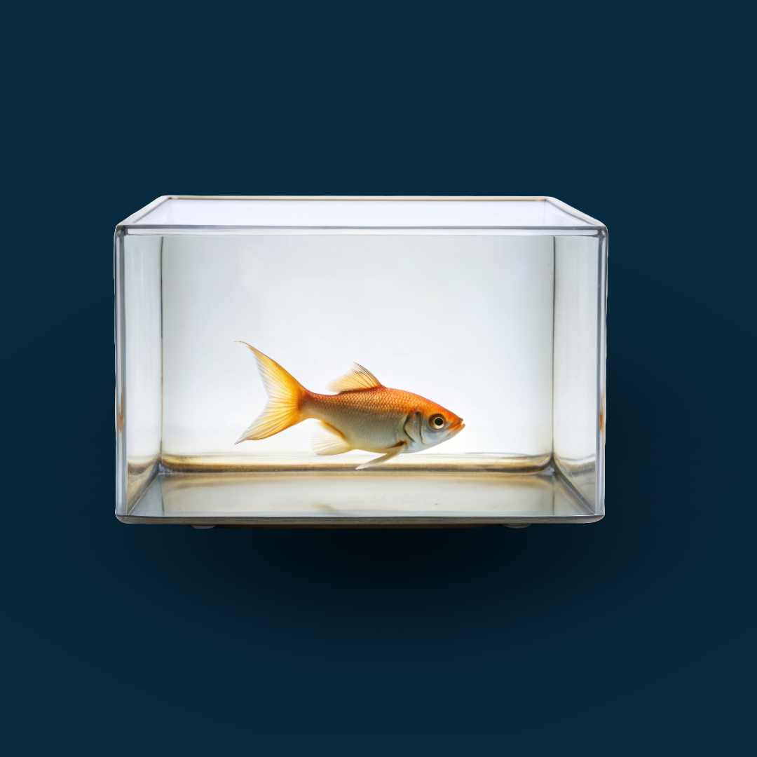 FISH TANKS