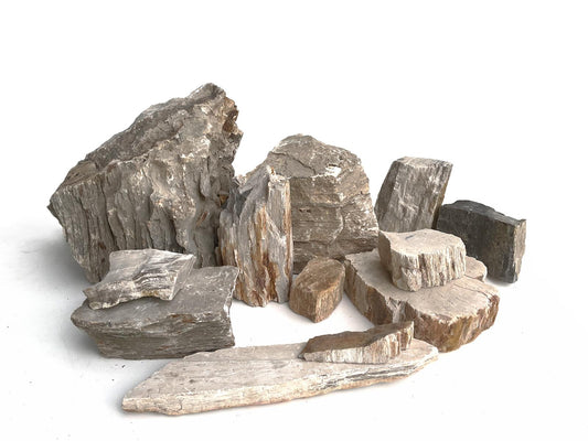 Fossilized Wood Pagoda Rocks