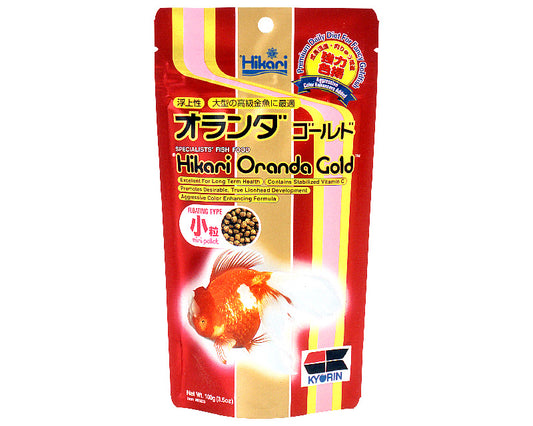 Hikari Oranda Gold Mini